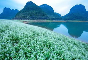 桂林平乐旅游攻略，揭秘绝美山水秘境之旅