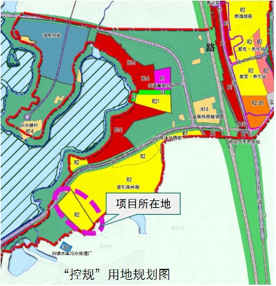 定安县岭口大郎塘拆迁最新动态解析