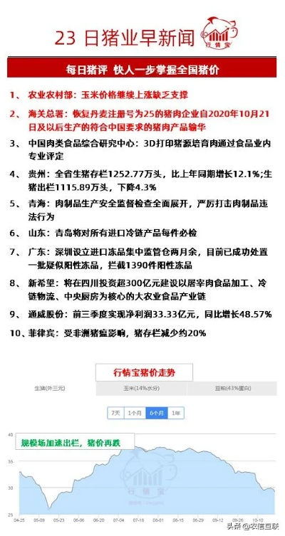 雪后猪价最新动态，洞悉市场趋势，把握行业行情