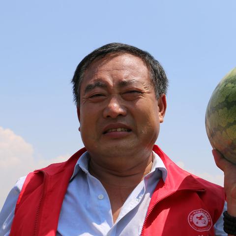 运城车祸背后的故事与反思，新闻头条揭示事故真相