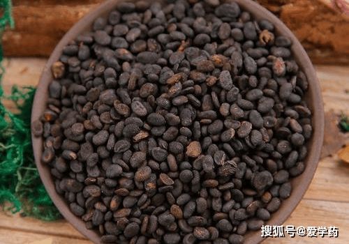 揭秘补骨脂，传统药材的魅力与功效探索