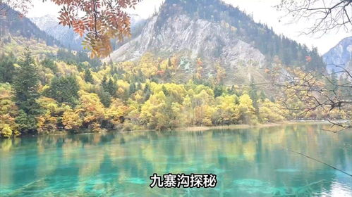 宁海旅游门票攻略，探访绝美自然风光与人文景观