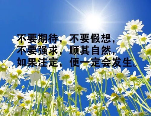 励志语录伴你走上艺考之路，追梦艺术之旅启航