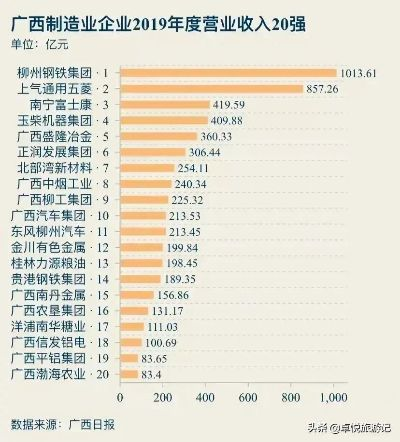 广西土豆公司行业排名大揭秘，探寻领军者，一览行业风采！