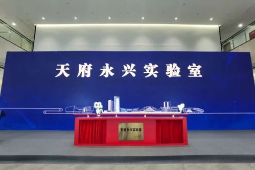 西安永兴县发展盛景，探寻脉搏，共赏繁荣新闻头条