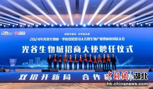 武汉边贸公司排名揭晓，探寻行业领军者，谁领风骚？