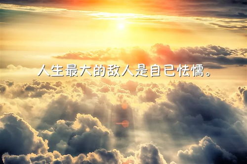 「欣然励志语录，点亮人生旅途的明灯」