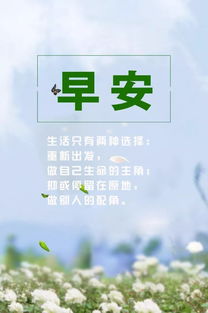 晨曦语录，励志简短文案，激发无限潜能！