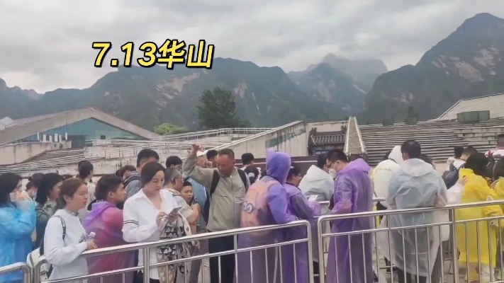 华山今日实时动态，最新消息与视频全掌握