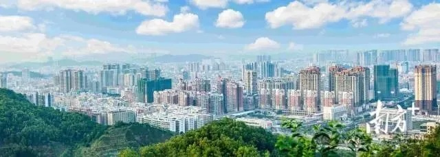 广州高州最新动态，城市新动向与发展热点热议头条新闻