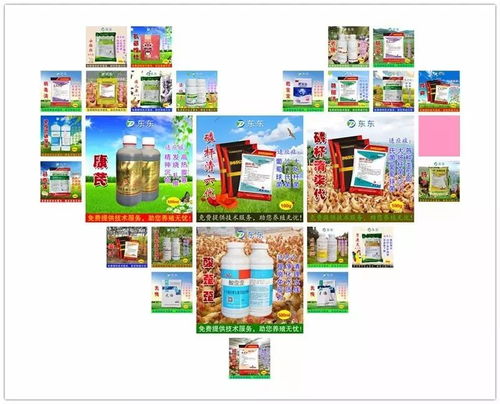 麻鸡肉鸡最新报价及行业走势展望，今日动态与市场预测