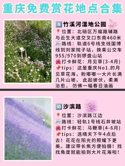 重庆二月赏花攻略，最新指南，让你畅游花海！