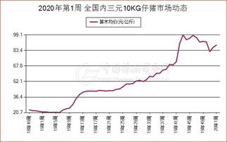 浏阳生猪价格今日行情大揭秘，最新报价与走势分析！