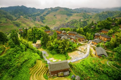 河南小河乡村旅游攻略，探秘宁静美景，体验别样风情之旅