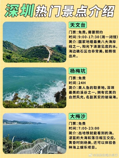 夜晚深圳的魅力探索，不夜城旅游攻略