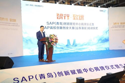 即墨电镀公司行业排名揭秘，探寻行业领军者的成功奥秘
