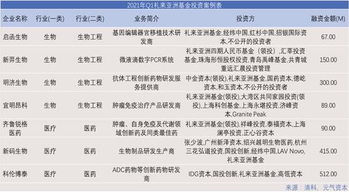 全球视野下的国家基金排名揭秘，探寻投资领域的佼佼者