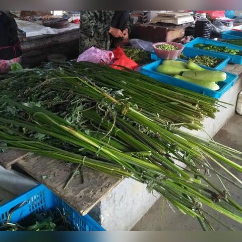 油价最新动态，铜陵市场走势及影响因素深度解析