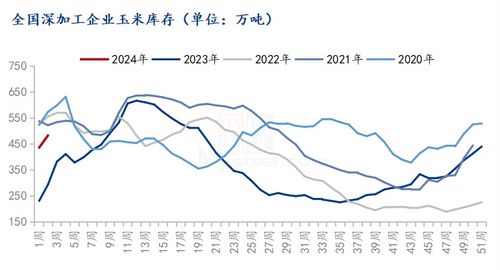 玉米最新价格今日行情详解