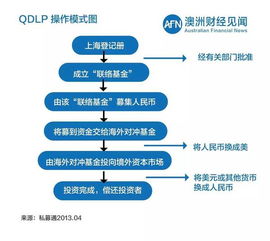 上海最新出境攻略图，全方位指南助你畅游无忧