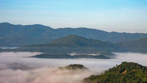 商南茶山探秘，绝美茶韵与宁静之旅攻略