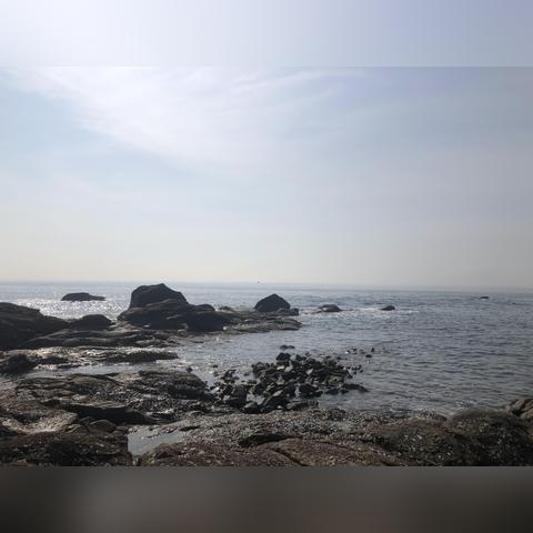 连岛捕鱼赶海全攻略，最新指南带你领略海洋魅力