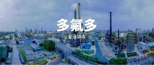 卡尔夫全球排名揭秘，独特魅力与地位探寻