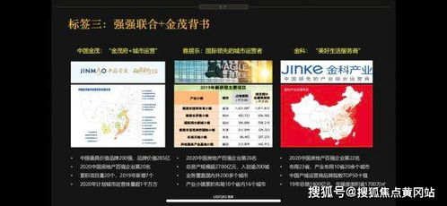 今日兔毛价格走势大揭秘，最新行情分析！