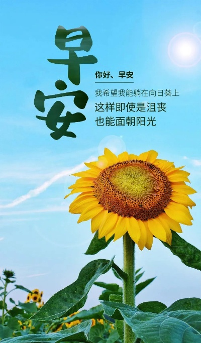 早安美术励志语录，激发创作激情，开启美好一天的艺术力量