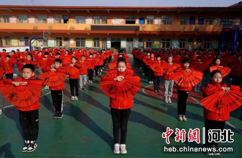 河北新闻最新动态，活力激荡与进步共鸣的交响曲