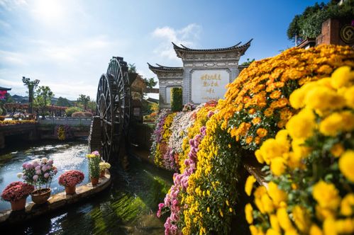云南剑桥探索之旅，自然与文化的绝佳融合