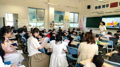 望城小学教育质量见证，前十名排名概览