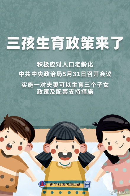 油菜生产法律法规最新解读，政策解读与实际应用指导