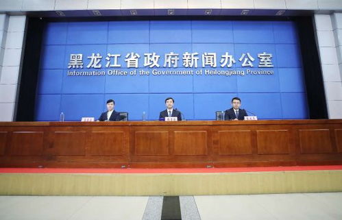 双鸭山城市发展与民生改善同步推进，最新新闻头条抢先看！