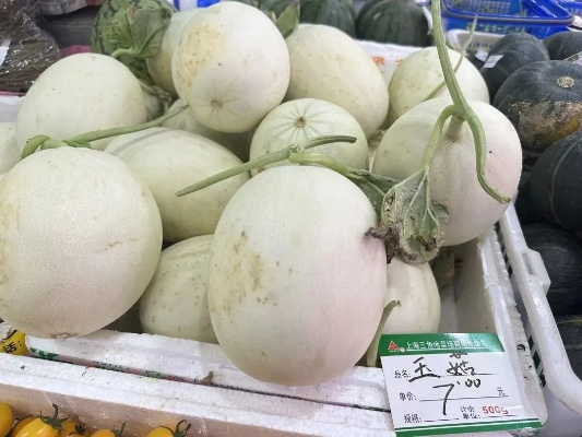最新资讯，2024年玉菇甜瓜报价——品质之选，价值之巅