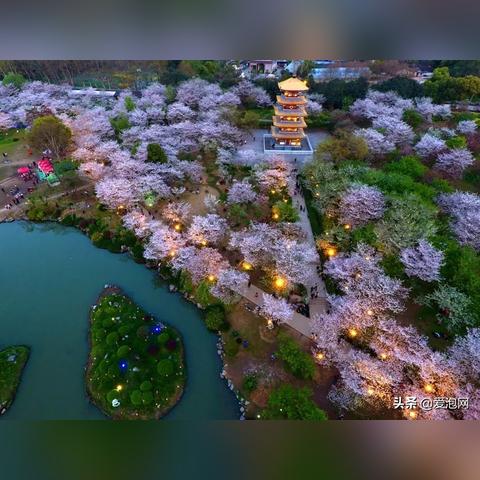 东湖湖光山色魅力全景解析，最新景色介绍视频播放