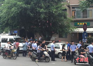羊流杀人案最新进展，案件细节曝光，警方全力调查