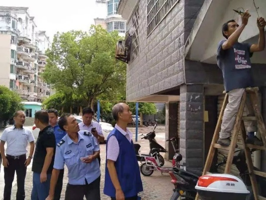 乐平最新新闻头条视频，城市之声与多彩瞬间一网打尽
