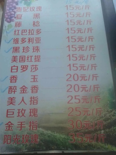 濮阳葡萄市场最新报价表，掌握市场动态，轻松了解葡萄价格！