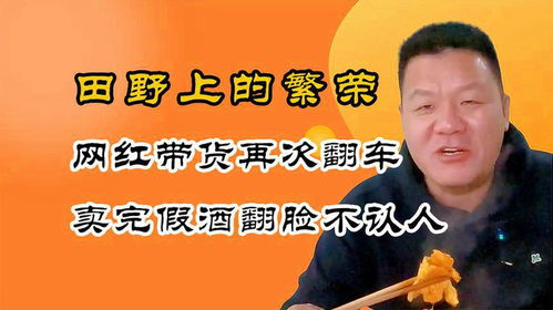 潞城区假酒案揭秘，真相大揭秘与后续进展更新！