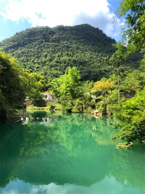 前山村旅游攻略，自然与文化的完美交融之旅