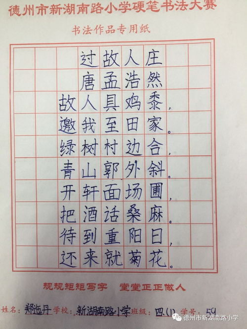 励志成长，小小书法家的练字之路
