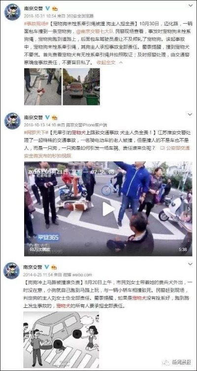 南京交警最新动态，城市交通安全新举措实施报道