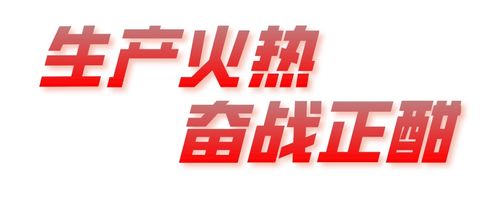 岩头工厂招工热潮，最新更新热门招工信息大集结