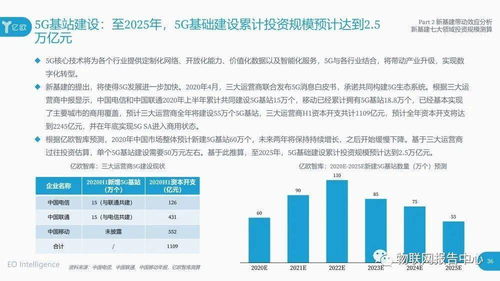 中兴春天2024展望，迈向新里程碑的一年最新消息揭秘