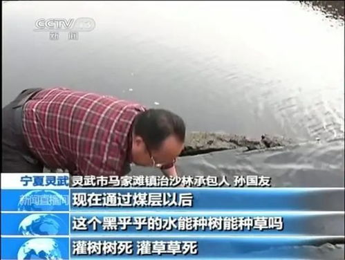 安平新闻揭秘，老赖现象背后的真相