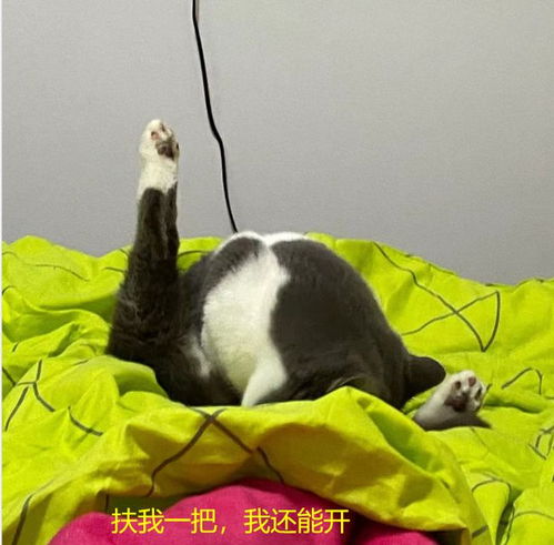 「长春至盘锦旅行攻略大全，最新指南，一网打尽！」