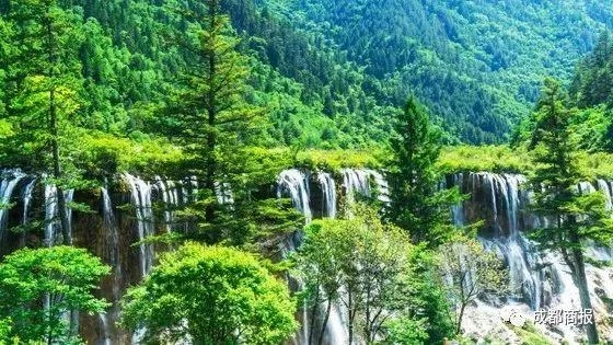 九寨沟最新动态报道，今日更新消息一网打尽！