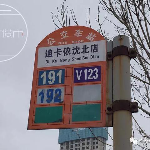 全球顶尖学府揭秘，世界排名191的大学探秘