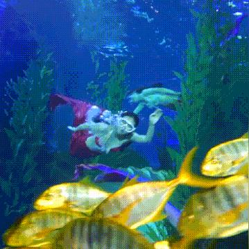 青岛生物公司排名TOP10揭秘，行业领军者的成功奥秘探索